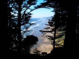 Instant Download, Oregon Coast, Scenic Wall Art, Beautiful Ocean Waves, Decor, Water Coast Scene