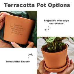 Personalized Teacher Gift - Engraved Terracotta Plant Pot - thumbnail 3