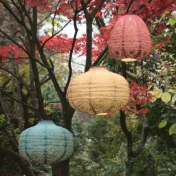 Solar Lantern Red Dome - thumbnail 4