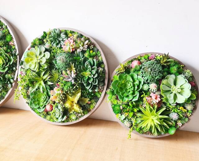 Round Faux Succulent 3D Wall Art Modern Framed Realistic Plant Decor Home Or Business - image 1