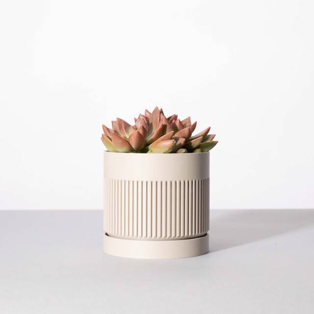 The Grove Planter Pot in Stone - Textured Finish Custom 3D Printed & Drip Tray - image 1
