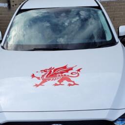 Large 21 X 16 Welsh Dragon Wales Vinyl Car Bonnet Side Sticker Decal Wall Art Animal Graphic Silhouette Van Lorry Motorhome Campervan Cymru - thumbnail 2