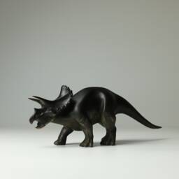 Triceratops #5 - thumbnail 1
