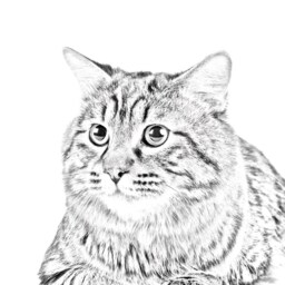 Kurilian Bobtail Longhaired - Wooden Stand For Candles/Pens With The Image Of A Cat New Collection - thumbnail 2