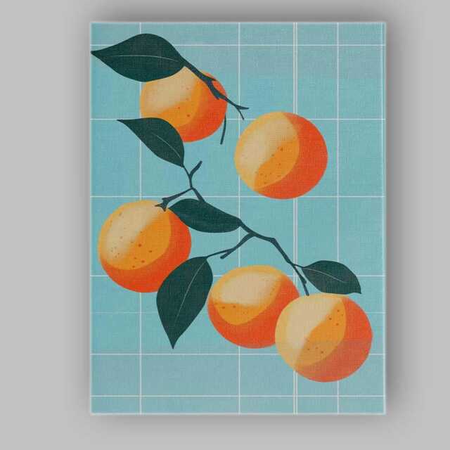 Modern Apricot Fruit Botanical Illustration Canvas Wall Art Print Decor Picture Ready To Hang - image 1