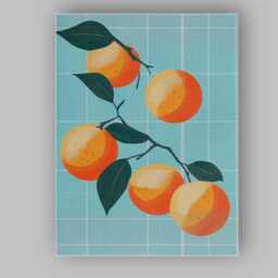 Modern Apricot Fruit Botanical Illustration Canvas Wall Art Print Decor Picture Ready To Hang - thumbnail 1