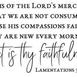 "Vinyl Wall Art Decal - Lamentations 322-23 ""It Is Of The Lord's Mercies ... They Are New Every Morning Great Thy Faithfulness." - thumbnail 2