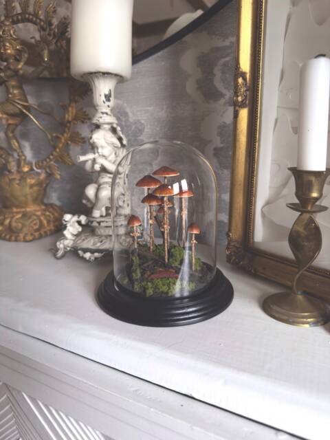 Handmade Conocybe Filaris Mushroom Scene in Glass Cloche - image 1