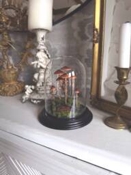Handmade Conocybe Filaris Mushroom Scene in Glass Cloche