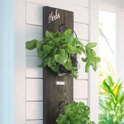 Rustic Wall Hanging Herb Garden Tin Or Glass Pots, Kitchen Decor - thumbnail 2