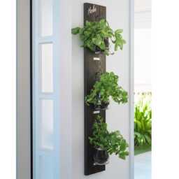 Rustic Wall Hanging Herb Garden Tin Or Glass Pots, Kitchen Decor - thumbnail 1