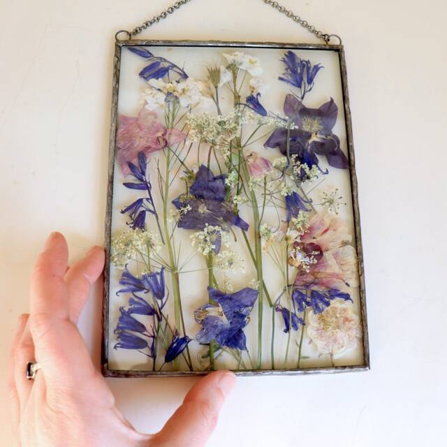 Pressed Flower Floating Frame Botanical Glass Wall Art - 5x7 In - image 1
