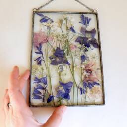 Pressed Flower Floating Frame Botanical Glass Wall Art - 5x7 In - thumbnail 1