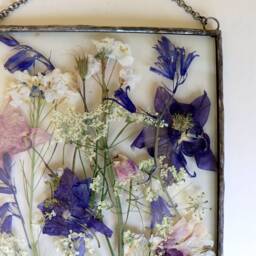 Pressed Flower Floating Frame Botanical Glass Wall Art - 5x7 In - thumbnail 4