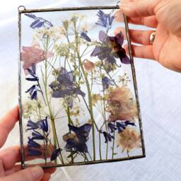 Pressed Flower Floating Frame Botanical Glass Wall Art - 5x7 In - thumbnail 3