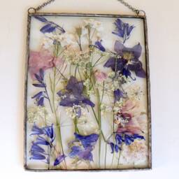 Pressed Flower Floating Frame Botanical Glass Wall Art - 5x7 In - thumbnail 2