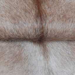 Medium Statement Cowhide Rug - Premium Brown & White Hair-On Leather Design - thumbnail 3