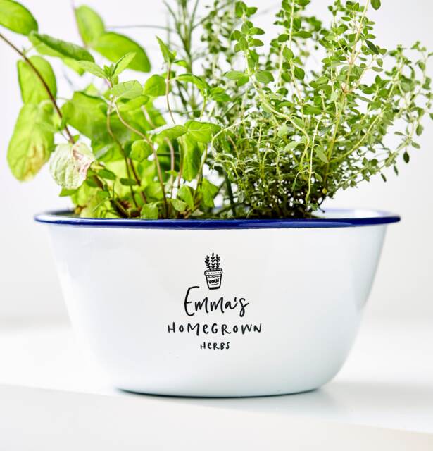 Personalised Enamel Herb Planter - image 1