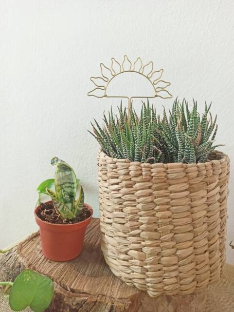 Sun Plant Trellis For Indoor Plant/Decor Stake Garden Decor/ Support Accessories Gifts/ - image 1