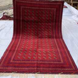 Red Afghan Rug Handwoven Beljik Khwaja Roshnai Wool Carpet - 6.4x4.1 Ft - thumbnail 4
