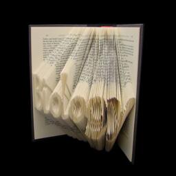 Biology - 7 Letter Folded-Book Art Science Stem Teacher Graduation Gift Naturalist Origami Custom Personalized - thumbnail 2