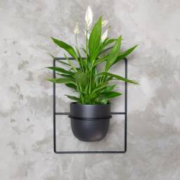 Pilea Metal Plant Holder Pflanzenaufh??nger Portafiori Porte-Fleurs Blumenaufhanger Plante Cintre Kwietnik - thumbnail 1