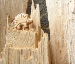 Hedgehog, Wooden Animals For Waldorf Kindergarten, Nature Table - thumbnail 1