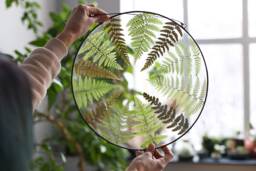 Pressed Fern Plant in Stained Glass Frame, Dried Leaves Wall Hanging, Round Floating Panel, Framed Botanical Window Art, Herbarium Decor - thumbnail 1