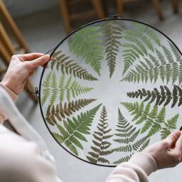 Pressed Fern Plant in Stained Glass Frame, Dried Leaves Wall Hanging, Round Floating Panel, Framed Botanical Window Art, Herbarium Decor - thumbnail 3