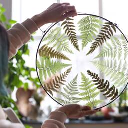 Pressed Fern Plant in Stained Glass Frame, Dried Leaves Wall Hanging, Round Floating Panel, Framed Botanical Window Art, Herbarium Decor - thumbnail 2