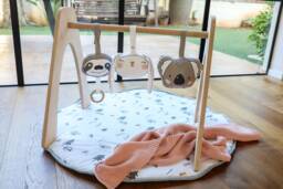 Woodland Play Gym - Wooden University - thumbnail 1