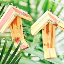 Oriole Bird Feeder With Free Jelly Cup, Bird Enthusiasts, Eastern Cedar Feeder, Fruit & Feeder, Hanging - thumbnail 4