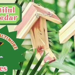 Oriole Bird Feeder With Free Jelly Cup, Bird Enthusiasts, Eastern Cedar Feeder, Fruit & Feeder, Hanging - thumbnail 2