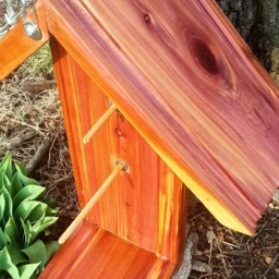Oriole Bird Feeder With Free Jelly Cup, Bird Enthusiasts, Eastern Cedar Feeder, Fruit & Feeder, Hanging - thumbnail 3