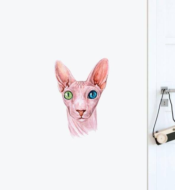 Nudiepatooties Sphynx Cat Wall Sticker Decal - Dogs & Pets Stickers, Art, Decals, Kids Animals Decals