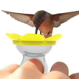 Hummingbird Ring Feeder By Zummr - thumbnail 3