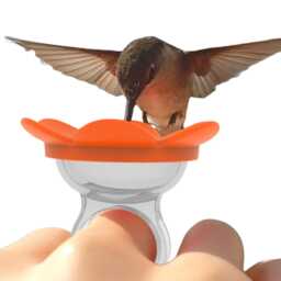 Hummingbird Ring Feeder By Zummr - thumbnail 2