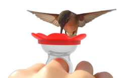 Hummingbird Ring Feeder By Zummr - thumbnail 1