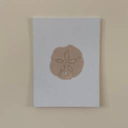 Sand Dollar Painting, Beach Creature, Sea Shells, Canvas Wall Art - thumbnail 2