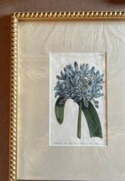 Gold Bobbin Embossed Wood Picture Frame, Bespoke Sizes