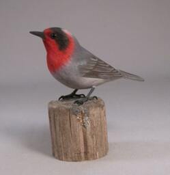 Red-Faced Warbler Hand Carved Wood Bird - thumbnail 2