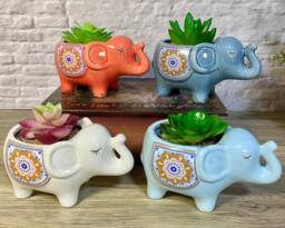 Ceramic Elephant Succulent Flower Plant Pots/Desktop Pot Indoor Office Home Decor Cute Animal Planters House Warming Gift - thumbnail 1