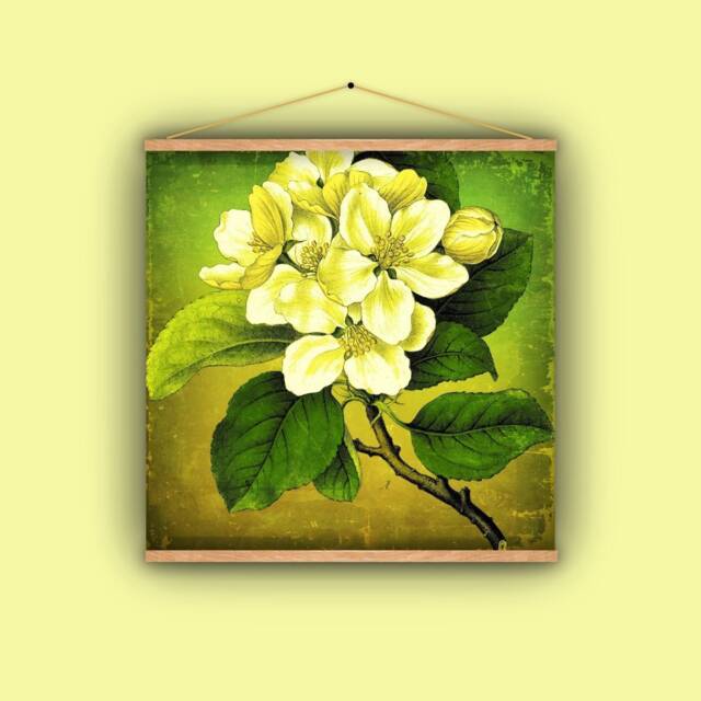 Apple Blossom, Garden Lover, Apple Botanical, Wall Hanging, Pull Down Chart, Natural History, 1860S, Vintage Image, Fruit, Antique Art - image 1