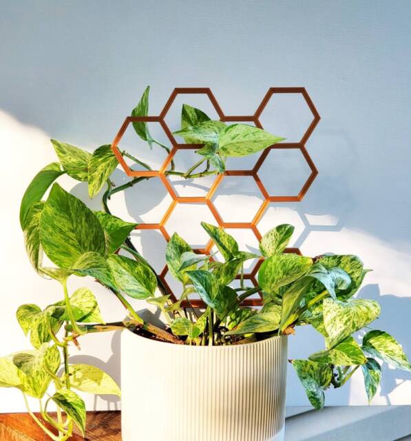 Minimalist Hexagon Plant Trellis 3D Printed Indoor Support - image 1