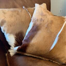 Springbok Cushion Cover, Throw Pillow Natural Skin Cover - 17x17 - thumbnail 2