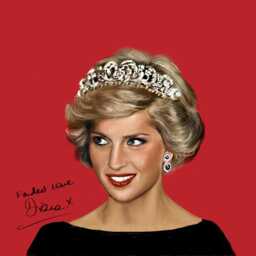 Princess Diana Velvet Cushion Cover Handmade Glamour Decor - thumbnail 2