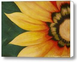 Sunflower Painting - 8x10 Giclee Stretched Canvas Print Ready To Hang Watercolor Last One, Discontinued - thumbnail 2