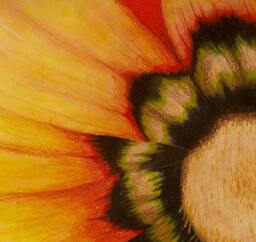 Sunflower Painting - 8x10 Giclee Stretched Canvas Print Ready To Hang Watercolor Last One, Discontinued - thumbnail 3