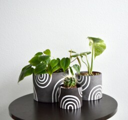 Hand-Painted Abstract Charcoal Rainbow Concrete Planter - Multiple Sizes