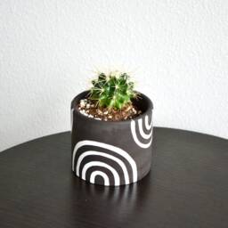 Hand-Painted Abstract Charcoal Rainbow Concrete Planter - Multiple Sizes - thumbnail 2